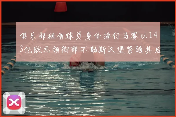 俱乐部租借球员身价排行马赛以143亿欧元领衔那不勒斯汉堡紧随其后