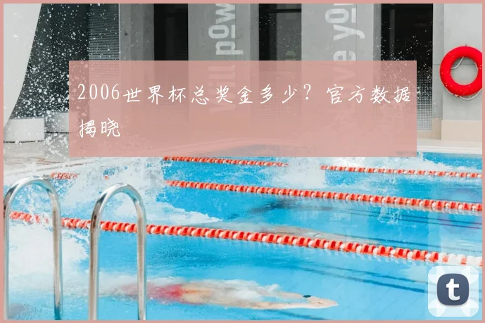 2006世界杯总奖金多少？官方数据揭晓