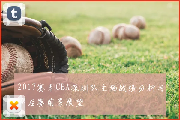2017赛季CBA深圳队主场战绩分析与季后赛前景展望