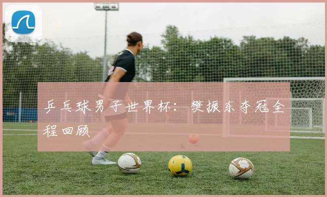 乒乓球男子世界杯：樊振东夺冠全程回顾