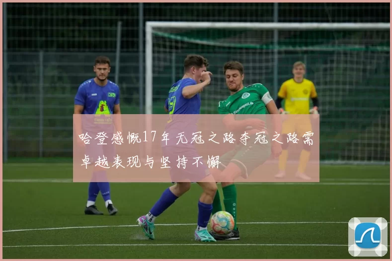 哈登感慨17年无冠之路夺冠之路需卓越表现与坚持不懈