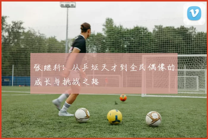 张继科：从乒坛天才到全民偶像的成长与挑战之路