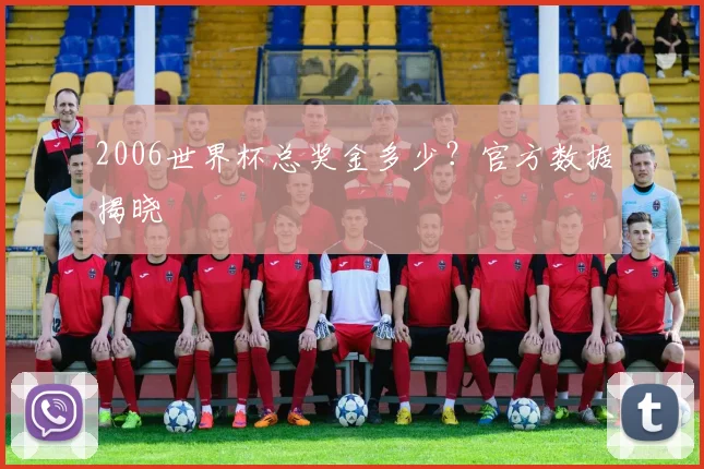 2006世界杯总奖金多少?官方数据揭晓