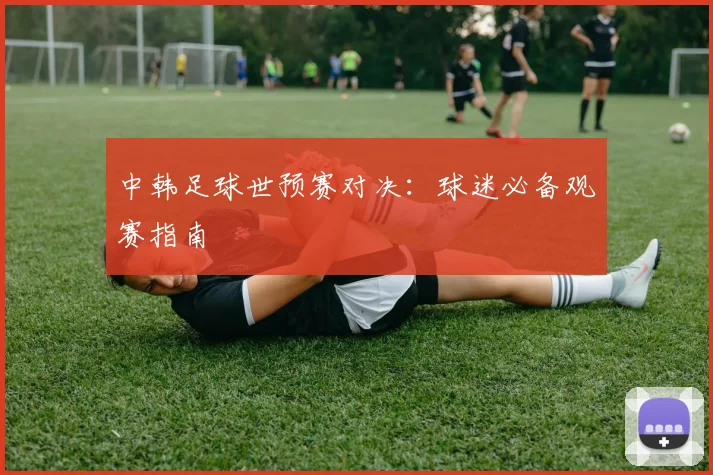 中韩足球世预赛对决：球迷必备观赛指南