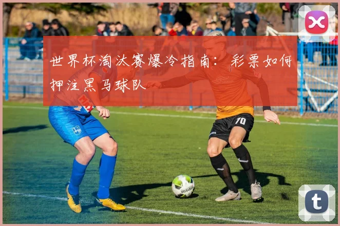 世界杯淘汰赛爆冷指南：彩票如何押注黑马球队