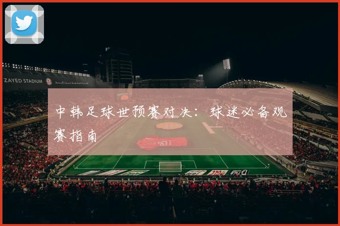中韩足球世预赛对决:球迷必备观赛指南
