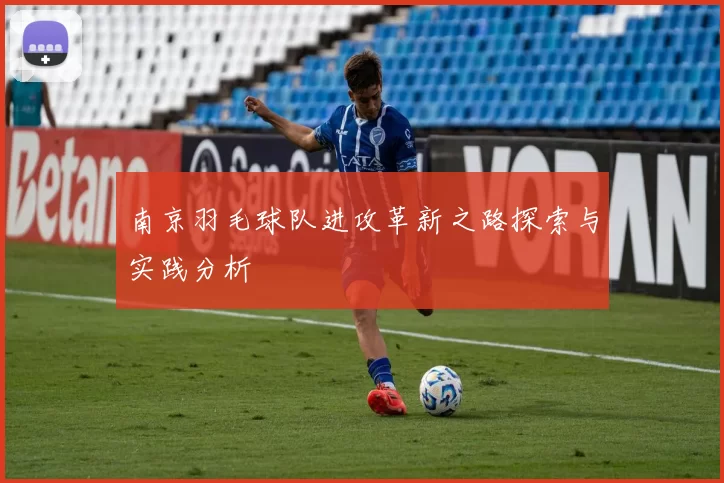 南京羽毛球队进攻革新之路探索与实践分析