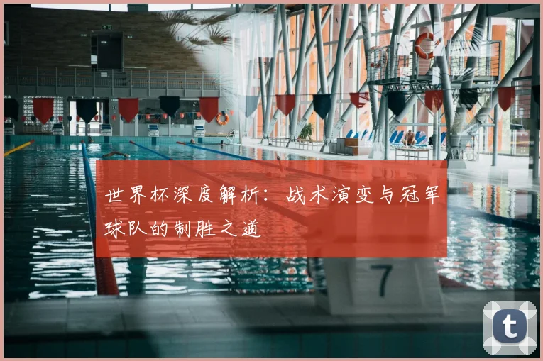 世界杯深度解析:战术演变与冠军球队的制胜之道