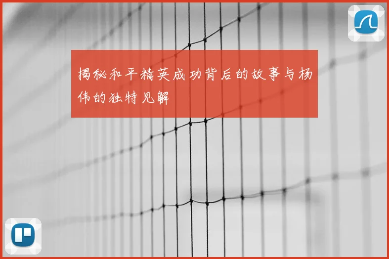 揭秘和平精英成功背后的故事与杨伟的独特见解