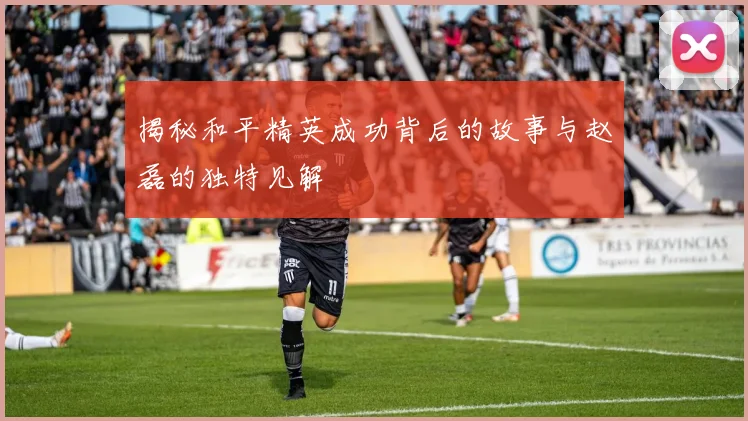 揭秘和平精英成功背后的故事与赵磊的独特见解