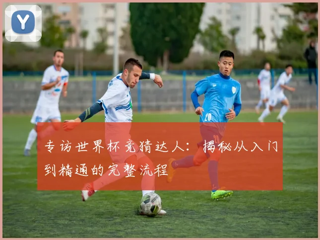 专访世界杯竞猜达人:揭秘从入门到精通的完整流程