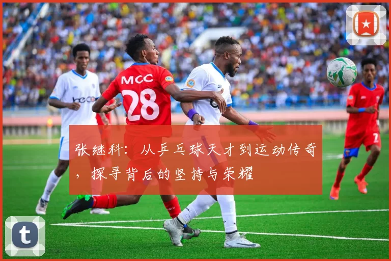 张继科：从乒乓球天才到运动传奇，探寻背后的坚持与荣耀